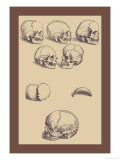 Buy Skulls at AllPosters.com