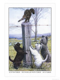 Scottish Terrier, West Highland Terrier, Skye Terrier