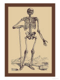 Skeleton with Shovel