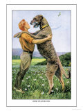 Irish Wolfhound