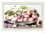 Buy Dish of Plums, Nuts, Jasmine and a Fly at AllPosters.com