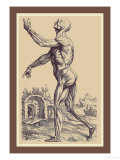 Buy The Second Plate of the Muscles at AllPosters.com