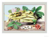 Buy Dish of Broad Beans at AllPosters.com