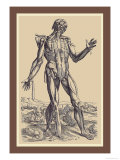Buy The Fifth Plate of the Muscles at AllPosters.com