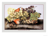 Buy Grapes and Pears with a Snail at AllPosters.com