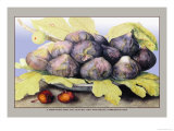 Buy Dish with Figs, Fig Leaves and Small Pomegranates at AllPosters.com