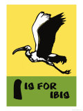 Buy I is for Ibis at AllPosters.com