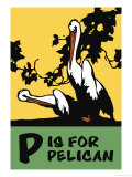 Buy P is for Pelican at AllPosters.com