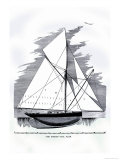 Buy The Mamie at AllPosters.com