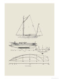 Buy The Gannet at AllPosters.com