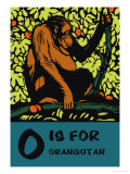 Buy O is for Orangutang at AllPosters.com