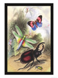 Butterfly, Dragonfly, and Beetles