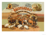 Halstead and Company Beef and Pork Packers