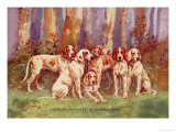 French Staghounds of the Chambray Strain