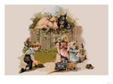 Curious Pigs