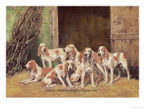 Franche Comet Hounds