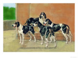 Gascon-Saintongeois Hounds of the Levesque Type