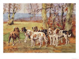 Nivernais Griffons