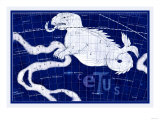 Cetus and Eridanus