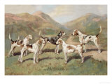 Fell Foxhounds