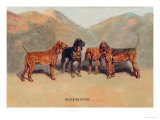 Bloodhounds