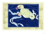 Cetus and Eridanus