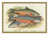 Buy Windermere, Cole's and Gray's at AllPosters.com