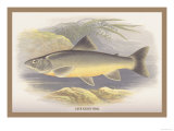 Buy Loch Killin at AllPosters.com