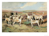 West Country Harriers