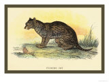 Buy Fishing Cat at AllPosters.com
