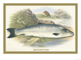 Buy Grilse at AllPosters.com