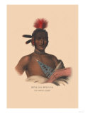 Buy Moa-Na-Hon-Ga, Ioway Chief at AllPosters.com