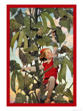 Buy Jack and the Beanstalk at AllPosters.com