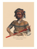 Buy Shau-Hau-Napo-Tinia, Ioway Chief at AllPosters.com