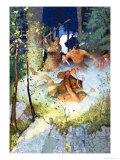 Buy The Fight in the Forest at AllPosters.com