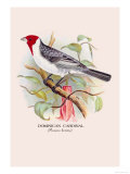 Dominican Cardinal