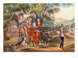 Buy Haying Time at AllPosters.com