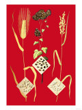 Grains: Barley, Buckwheat, and Rice Premium Poster