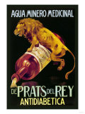 Agua Minero Medicinal de Prats del Rey