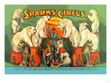 Sparks Circus