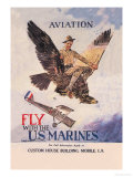 Fly with the U.S. Marines