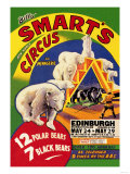 Buy Billy Smart's New World Circus and Menagerie: 12 Polar Bears, 7 Black Bears at AllPosters.com