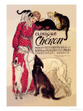 Buy Clinique Cheron, Veterinary Medicine and Hotel at AllPosters.com