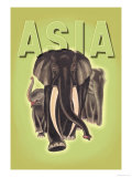 Buy Indian Elephants at AllPosters.com