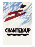 Buy Biplane Executes a Loop at AllPosters.com