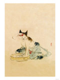 Japanese Cat Bathing
