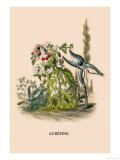 Buy Aubepine at AllPosters.com