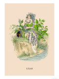 Buy Lilas at AllPosters.com