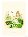 Buy Rose at AllPosters.com