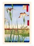 Buy Iris Garden at Horikiri at AllPosters.com